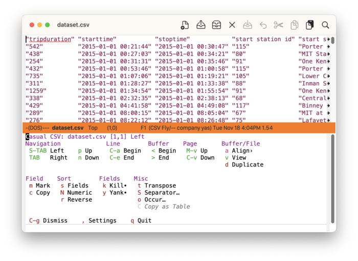 Screenshot of Casual CSV