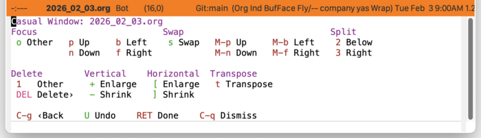 Screenshot of Casual window management menu
